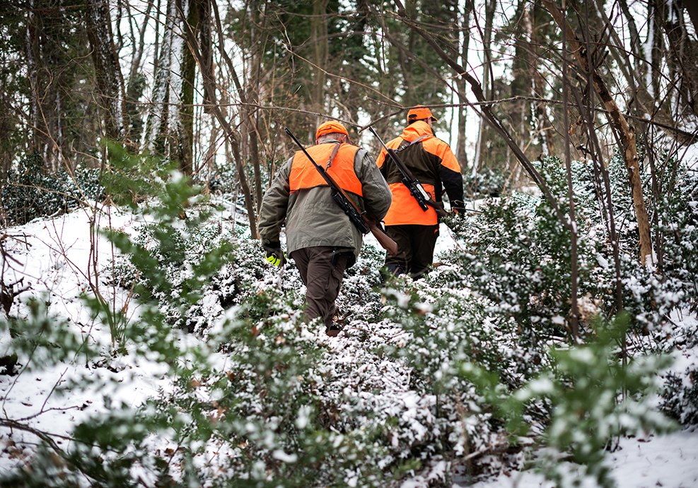 Two people are walking through the woods.