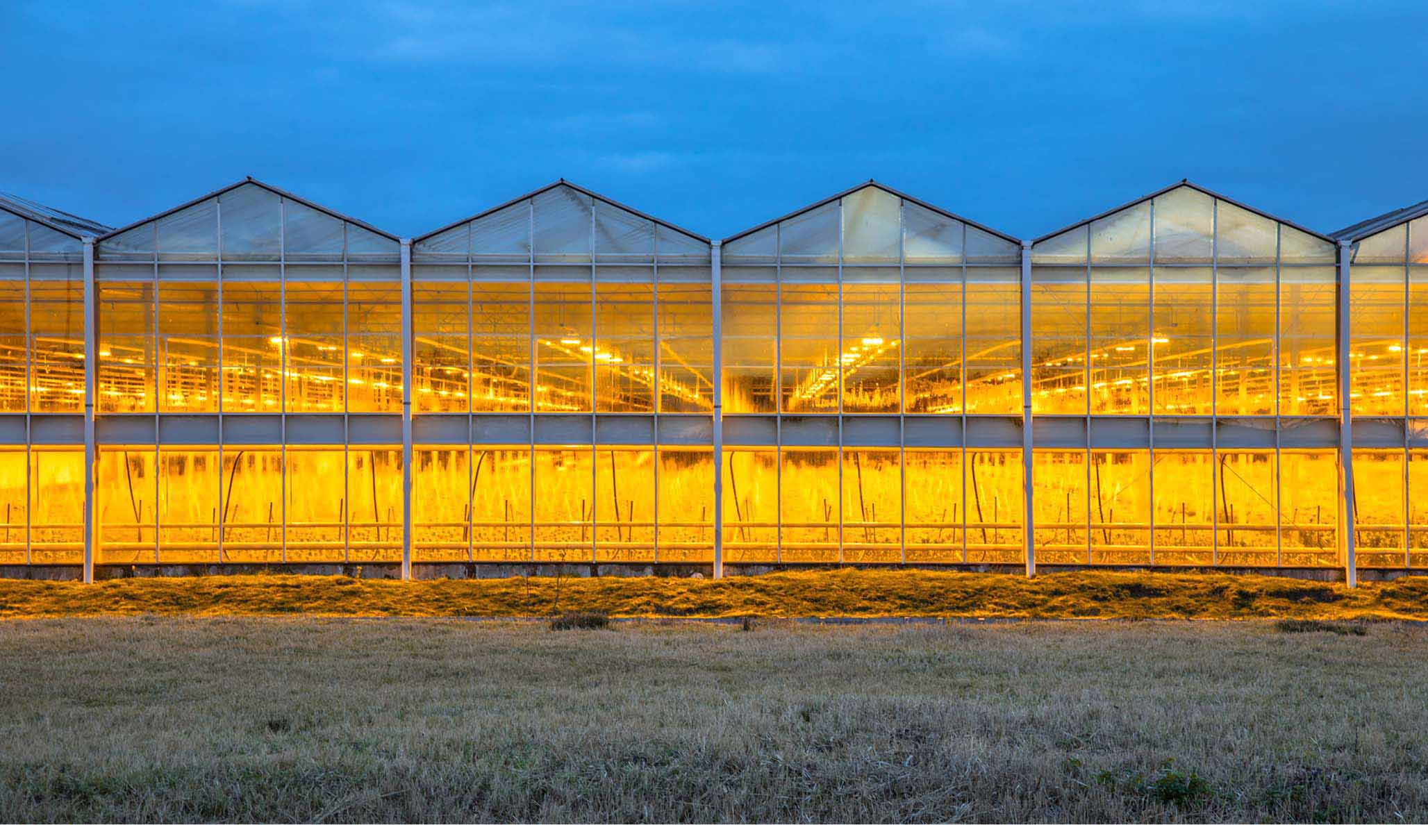 Heating a greenhouse electric vs. propane Ferrellgas Fuel Life Simply